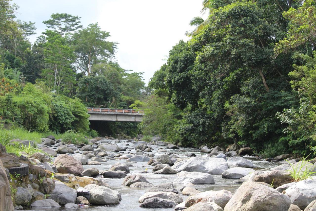 Pondok Tepi Sungai 시데멘 외부 사진