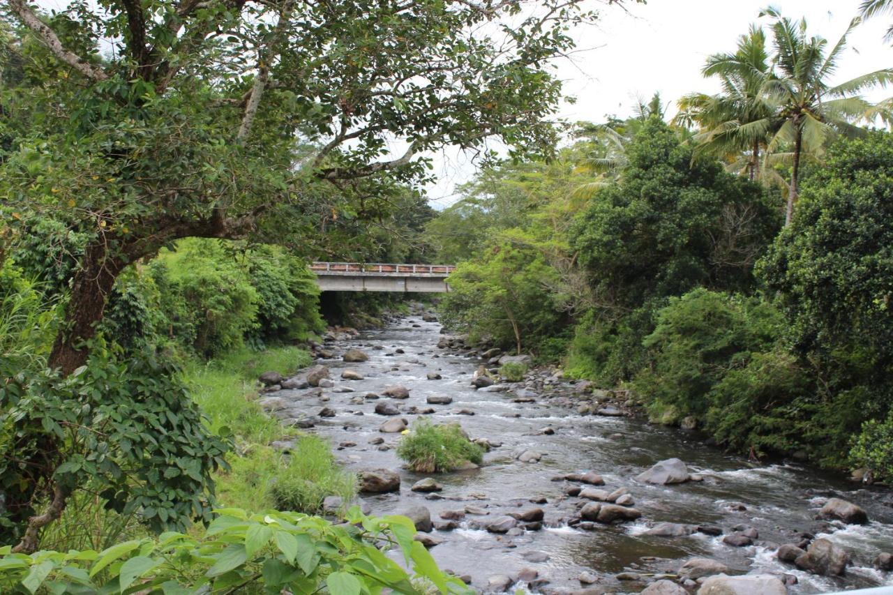 Pondok Tepi Sungai 시데멘 외부 사진