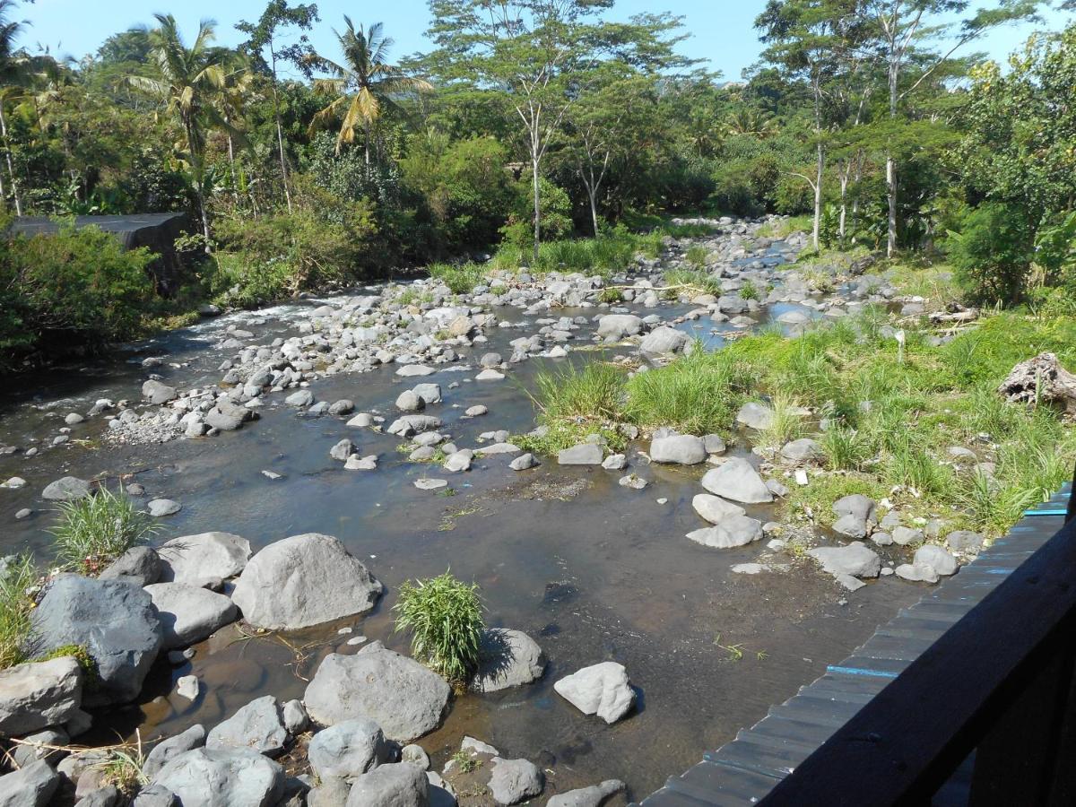 Pondok Tepi Sungai 시데멘 외부 사진